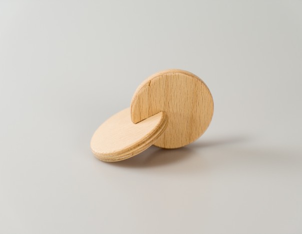 DISCHI INTERCONNESSI