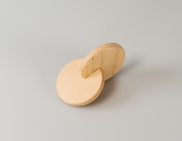 DISCHI INTERCONNESSI