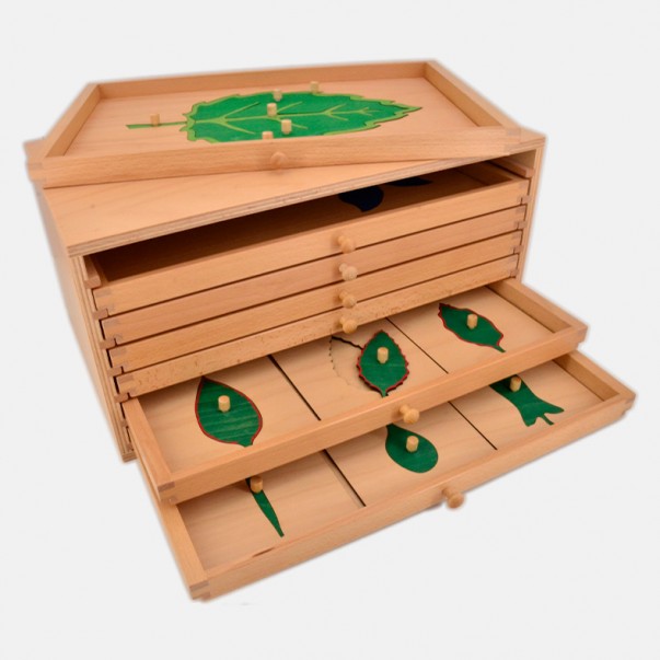 COMPLETE BOTANY CABINET
