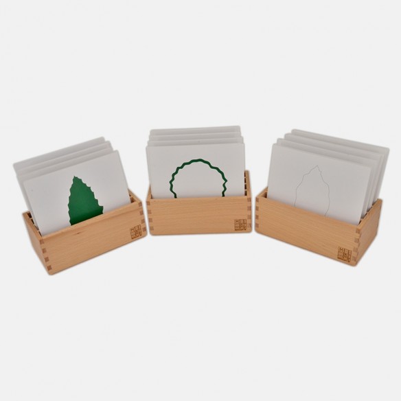 LEAF CARDS WITH FILE BOXES
