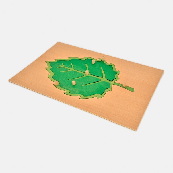 LEAF INSET