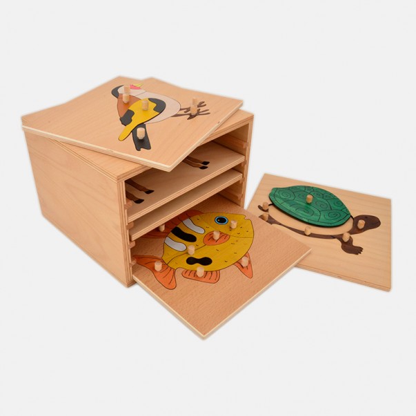 VERTEBRATE ANIMALS INSETS CABINET