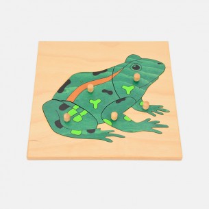WOODEN PUZZLE: AMPHIBIAN (FROG)