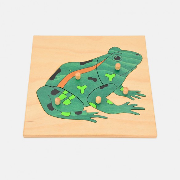 COFANETTO CON GLI INCASTRI DEI VERTEBRATI