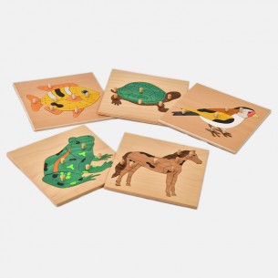 VERTEBRATE ANIMALS INSETS