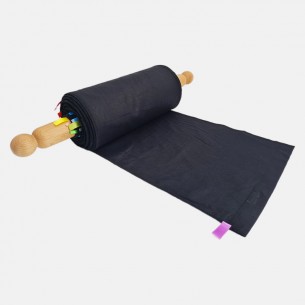 STRISCIA DELL'EVOLUZIONE DELLA TERRA