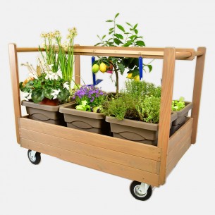 CARRELLO PER ORTO/GIARDINO