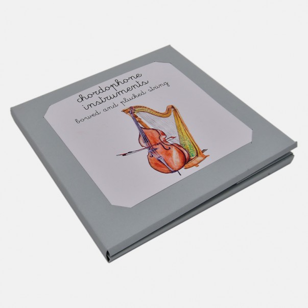 NOMENCLATURA DEGLI STRUMENTI MUSICALI A CORDA