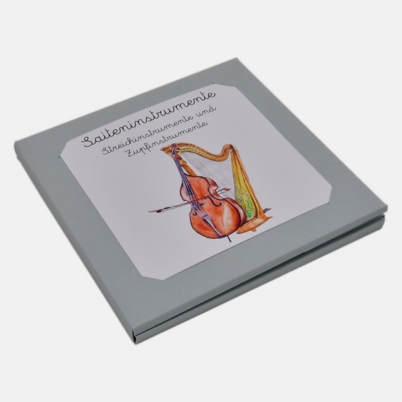NOMENCLATURA DEGLI STRUMENTI MUSICALI A CORDA