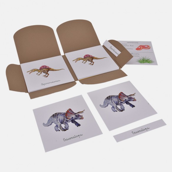 NOMENCLATURA DEI DINOSAURI