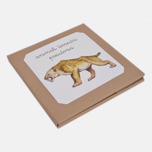 NOMENCLATURE OF PREHISTORIC LAND ANIMALS