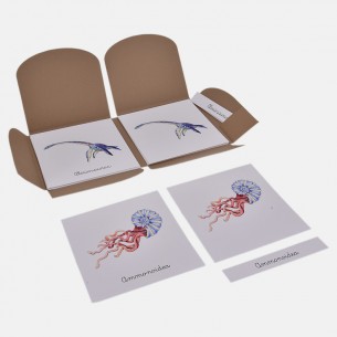 NOMENCLATURE OF PREHISTORIC MARINE ANIMALS 2