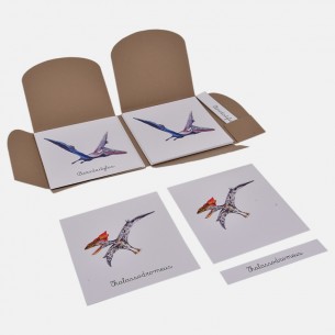 NOMENCLATURA DEGLI ANIMALI VOLANTI PREISTORICI 2