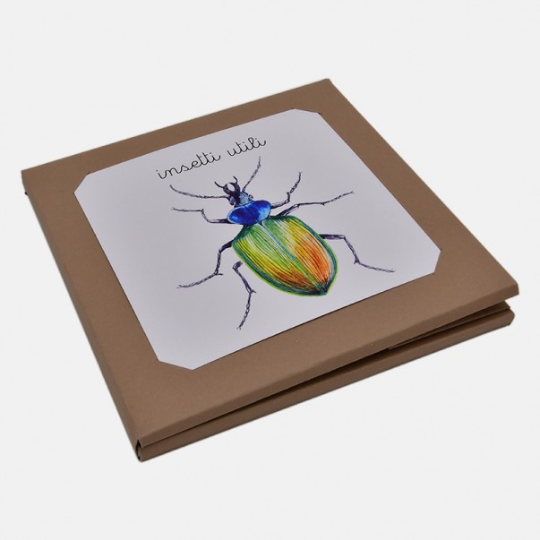 NOMENCLATURA DEGLI INSETTI UTILI ALL'AGRICOLTURA