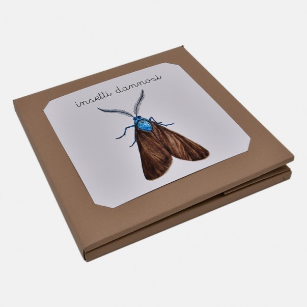 NOMENCLATURA DEGLI INSETTI DANNOSI ALL'AGRICOLTURA