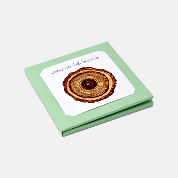 NOMENCLATURA DELLA SEZIONE DEL TRONCO