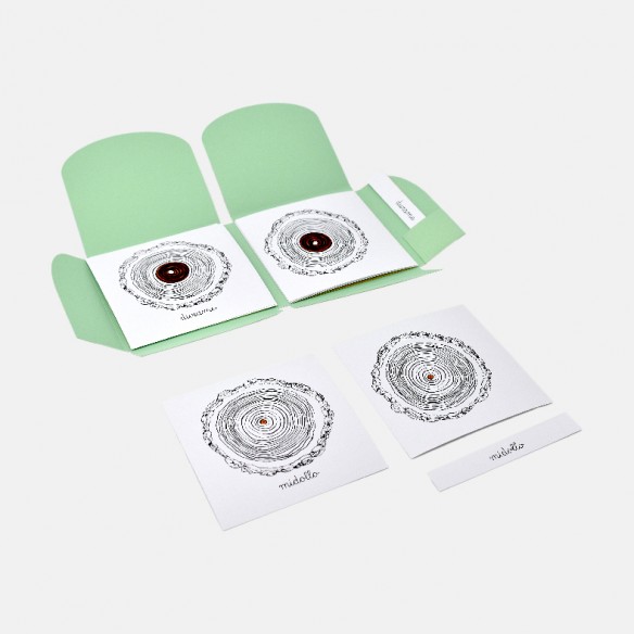 NOMENCLATURA DELLA SEZIONE DEL TRONCO