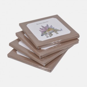 NOMENCLATURES OF THE PREHISTORIC ANIMALS