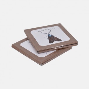 NOMENCLATURE DEGLI INSETTI UTILI E DANNOSI PER L'AGRICOLTURA