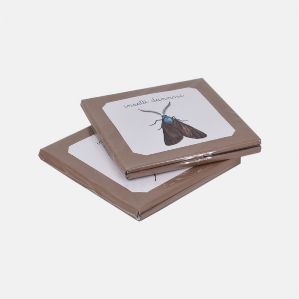 NOMENCLATURE DEGLI INSETTI UTILI E DANNOSI PER L'AGRICOLTURA