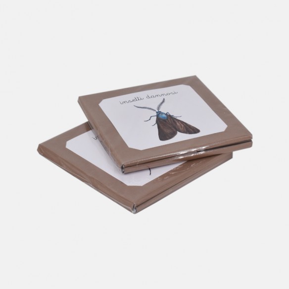 NOMENCLATURE DEGLI INSETTI UTILI E DANNOSI PER L'AGRICOLTURA