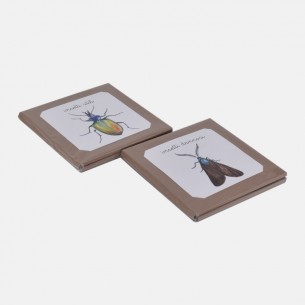 NOMENCLATURE DEGLI INSETTI UTILI E DANNOSI PER L'AGRICOLTURA 2