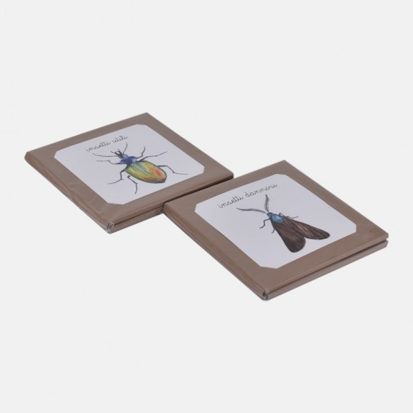 NOMENCLATURE DEGLI INSETTI UTILI E DANNOSI PER L'AGRICOLTURA