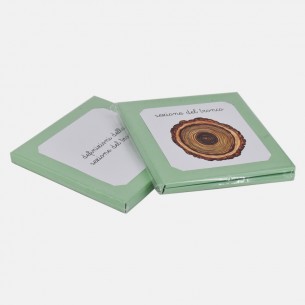 NOMENCLATURE DELLA SEZIONE DEL TRONCO E DEFINIZIONI