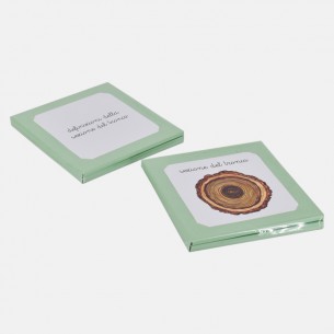 NOMENCLATURE DELLA SEZIONE DEL TRONCO E DEFINIZIONI 2