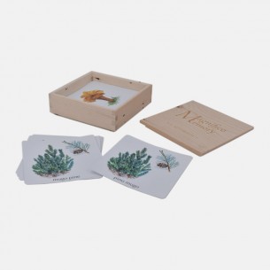 MAGNIFICO MEMORY - SOTTOBOSCO 2